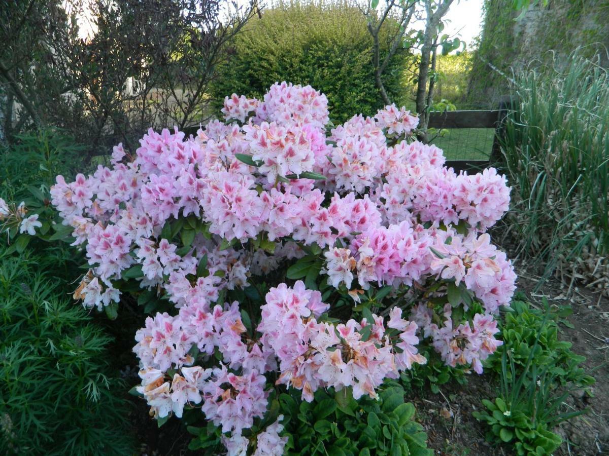 B&B La Seliniere Champ-du-Boult ภายนอก รูปภาพ